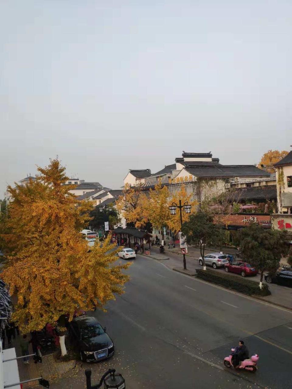 Suzhou Blue Gate Youth *