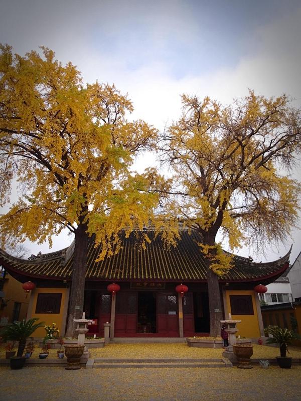 Suzhou Blue Gate Youth Hostel Suzhou (Jiangsu)